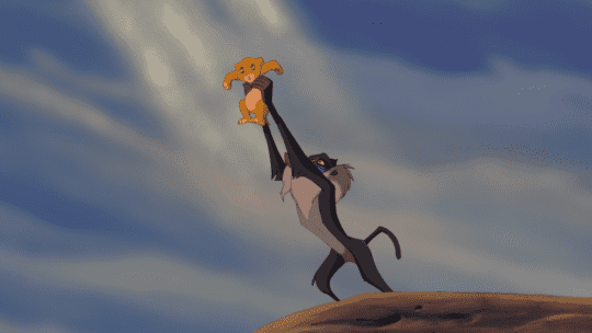 Il re leone