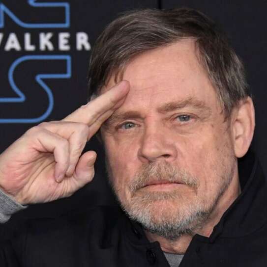 Mark Hamill, Focus su Almanacco Cinema