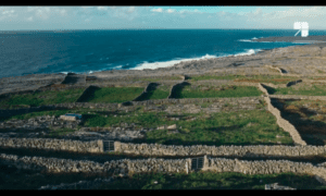 Irish Film Festa