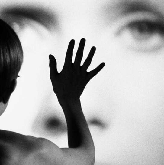 Il cinema di Ingmar Bergman: Persona