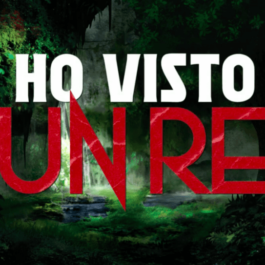 Ho visto un Re