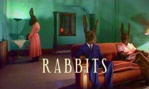 rabbits