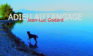 addio al linguaggio 2