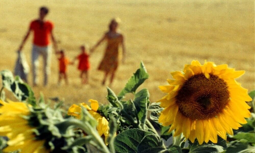 Il verde prato dell'amore, la recensione su Almanacco Cinema