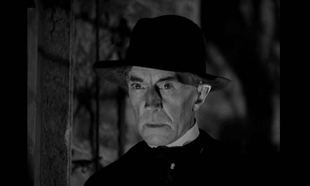 La moglie di Frankenstein, il dottor Pretorius